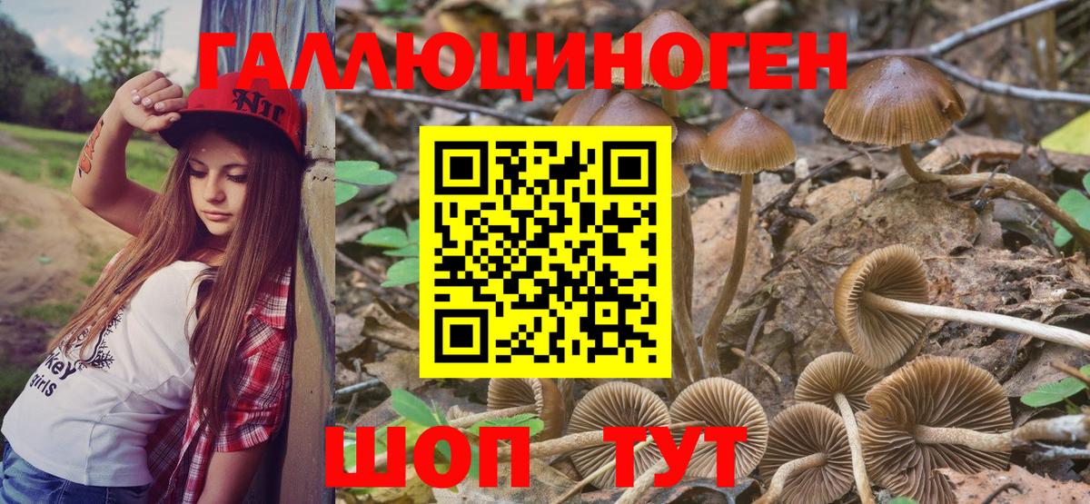 Галлюциногенные грибы Magic Shrooms Красногорск